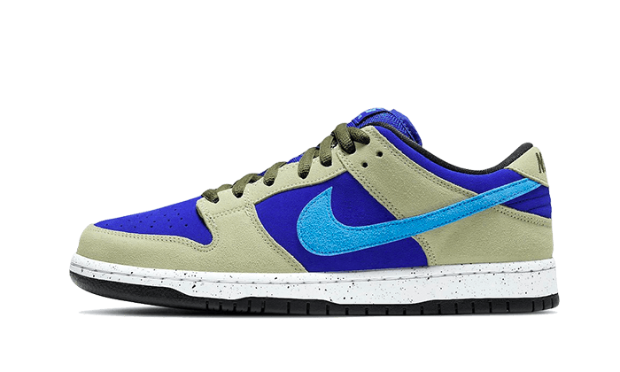 Nike sb dunk low france sales