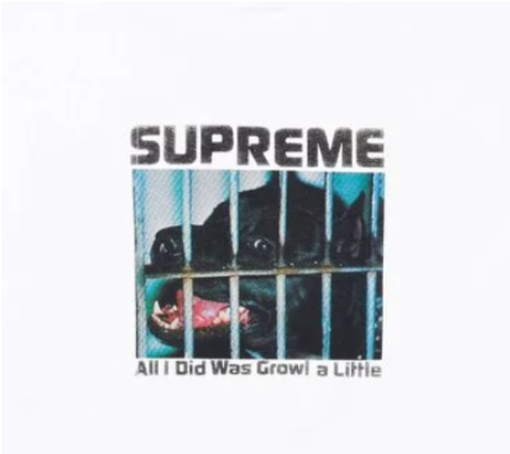 Camiseta Supreme FW26 "Growl" Branco