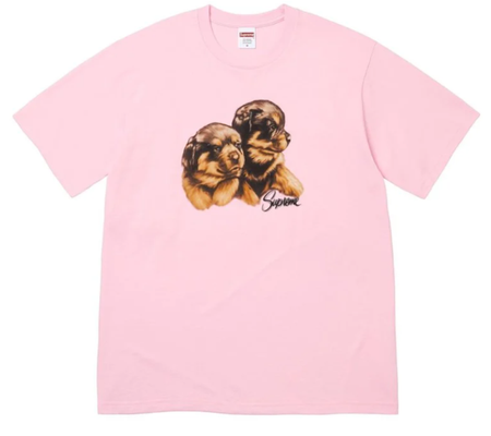 Camiseta Supreme FW26 "Puppies" Rosa