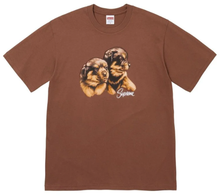 Camiseta Supreme FW26 "Puppies" Marrom