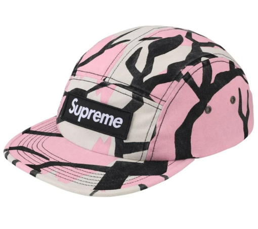 Boné Supreme FW26 "Military Camp Cap Pink Predator Camo" Rosa
