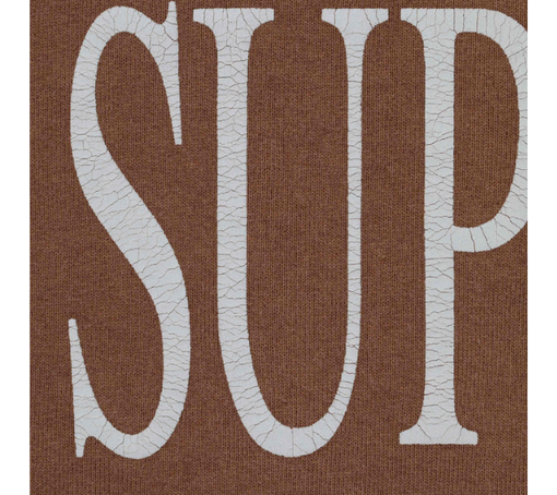 Moletom Supreme FW26 "Capital Hooded Sweatshirt" Marrom