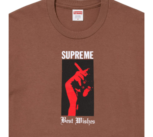 Camiseta Supreme SS26 "Wish" Marrom