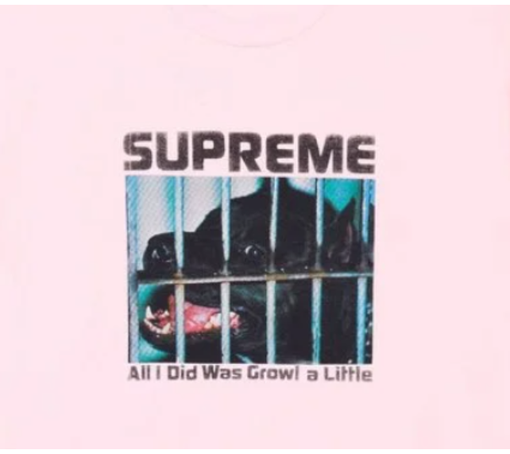 Camiseta Supreme FW26 "Growl" Rosa