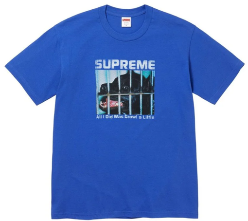 Camiseta Supreme FW26 "Growl" Camuflado