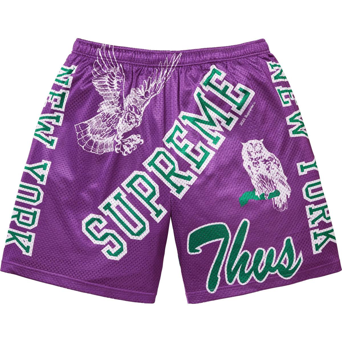Shorts Supreme Varsity Mesh "Purple" Roxo
