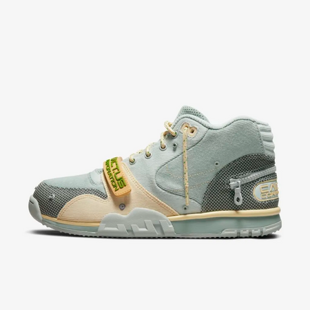 Cactus hot sale nike shoes