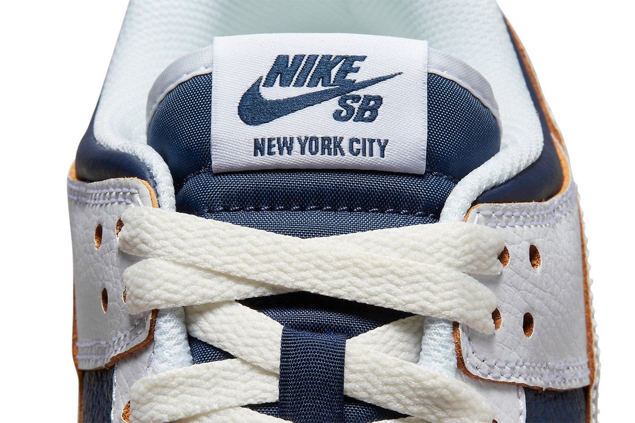 Nike 2025 sb upcoming